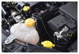 Engine Fluid | Mark's Auto Service